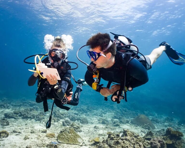 padi professional courses in havelock island