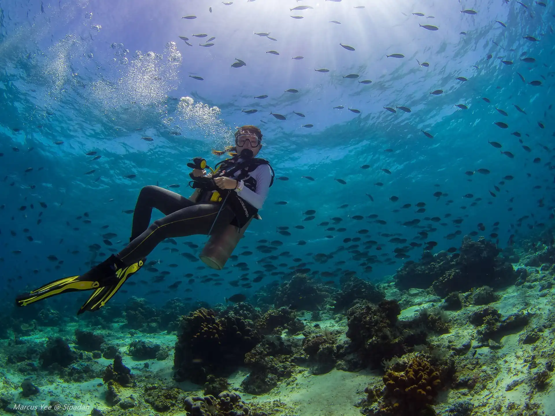 padi scuba diving course for beginners swimmer in andaman
