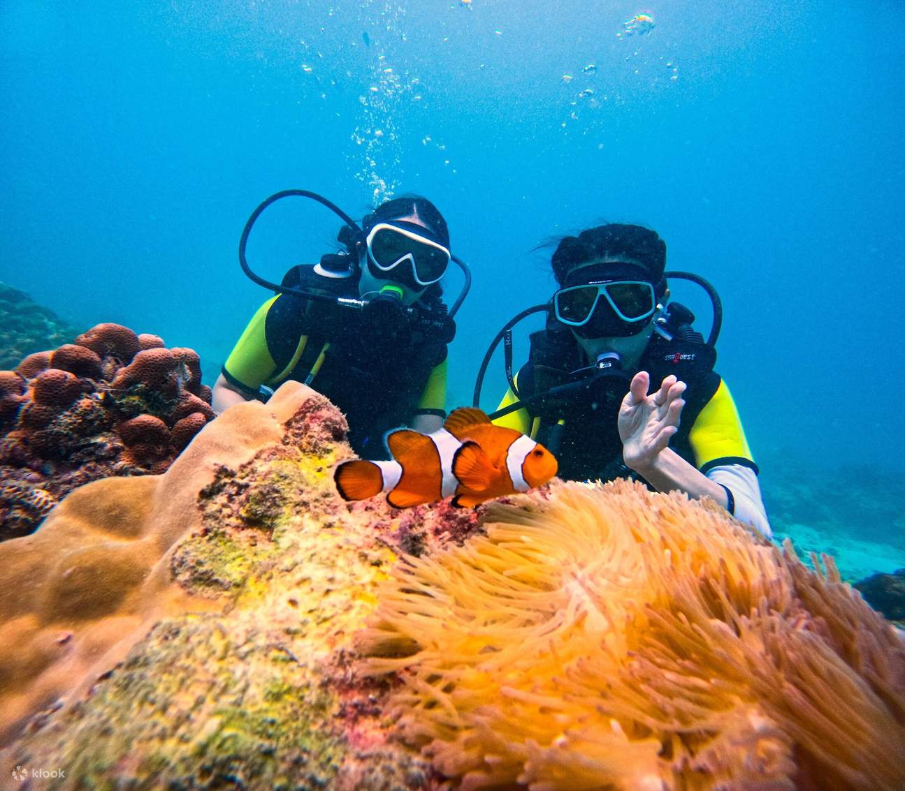 6 Dives Scuba Diving Packages in Havelock Island