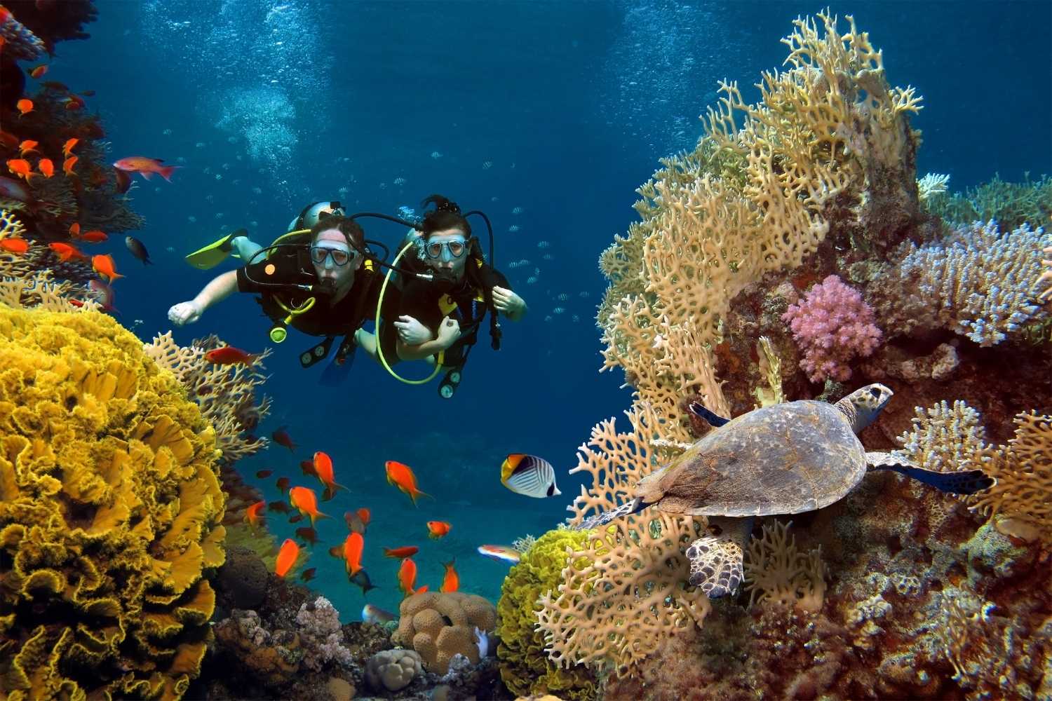 Aquarium