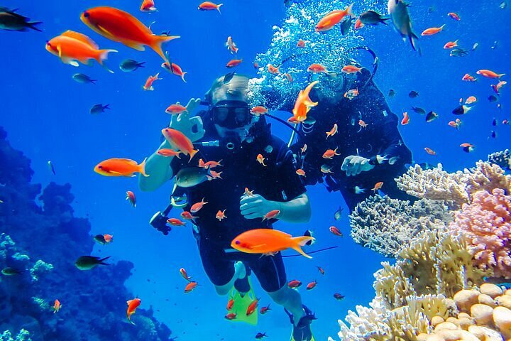 Boat Dive (DSD - Discover Scuba Dive, PADI Program) in Havelock Island