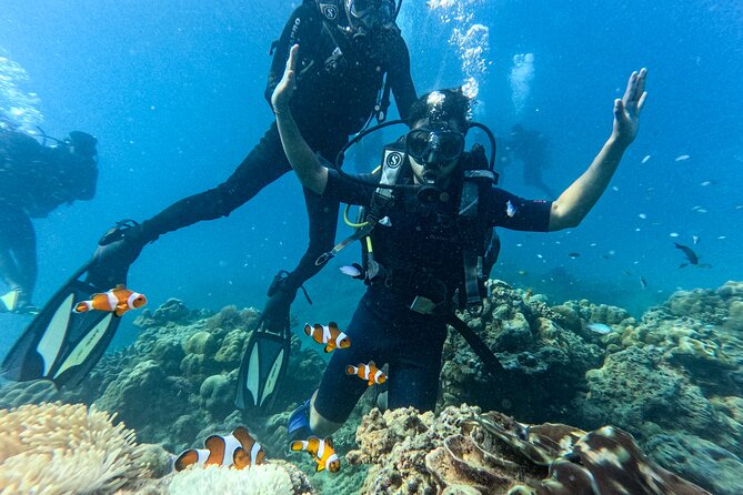Pilot Reef - Havelock Island