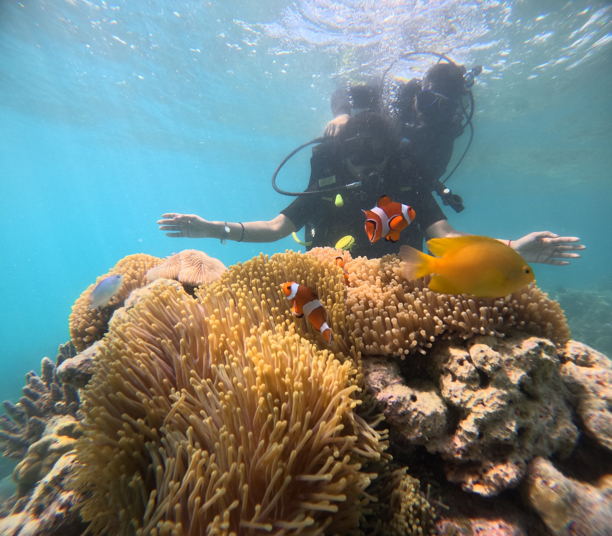 Shore Dive (Discover Scuba Dive, PADI Program) in Havelock Island