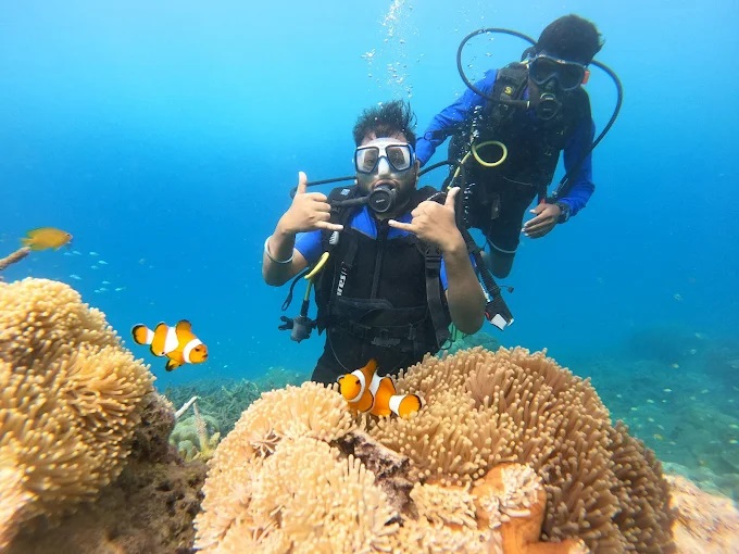 Tribe Gate Dive Site Havelock Island - Andaman 1
