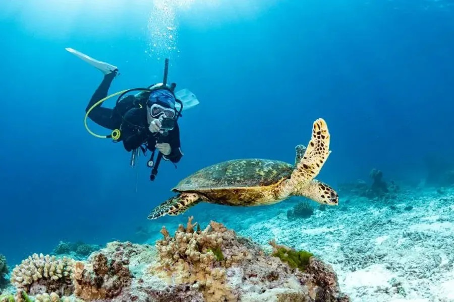 Turtle Beach Havelock Island - Andaman 1