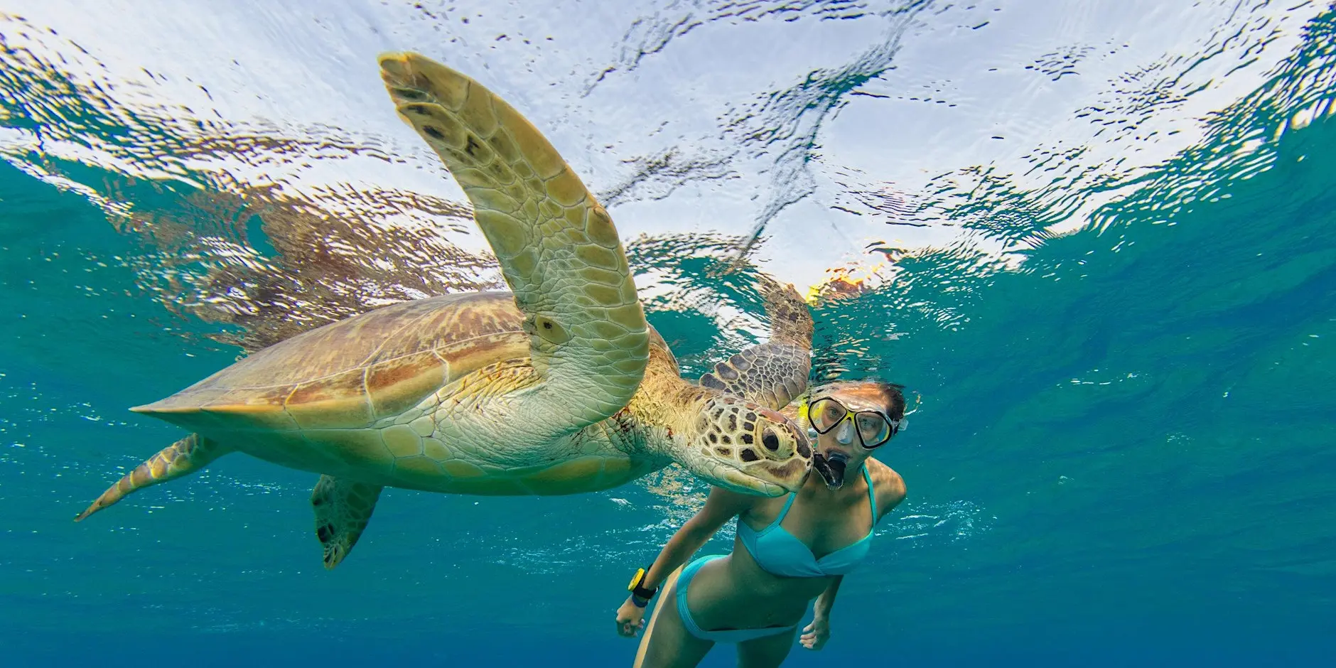Charter Boat Trip To Turtle Beach For Snorkelling And Picnic