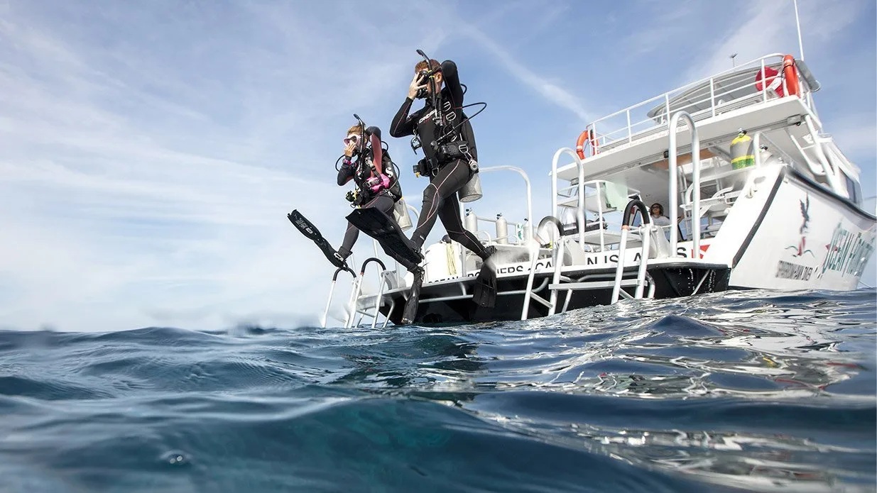 PADI ReActivate Scuba Refresher Program
